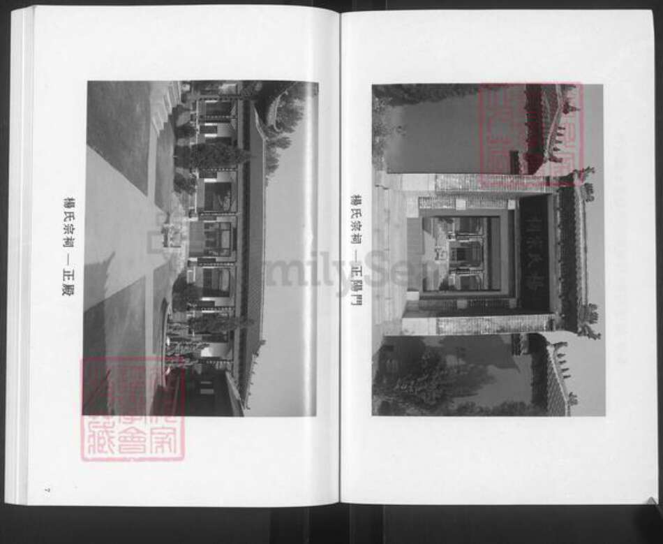 山东省滨州市邹平市杨氏族谱-杨氏世谱.pdf电子版预览图4