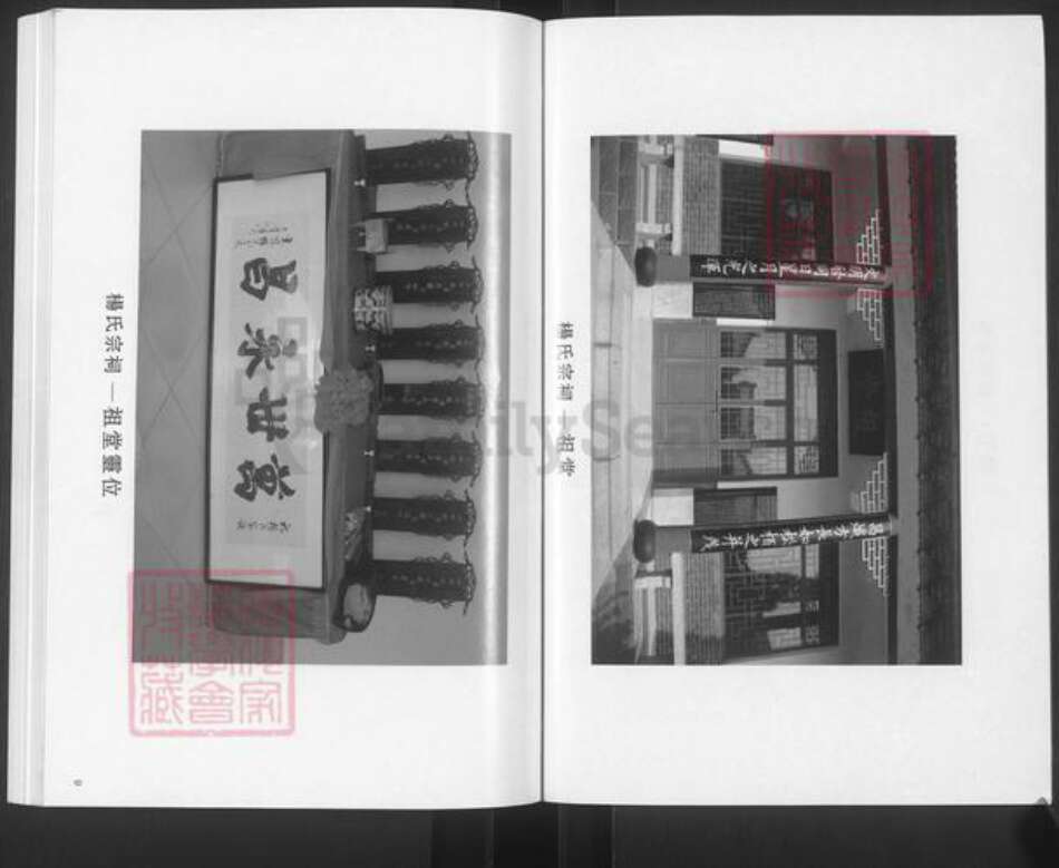 山东省滨州市邹平市杨氏族谱-杨氏世谱.pdf电子版预览图5