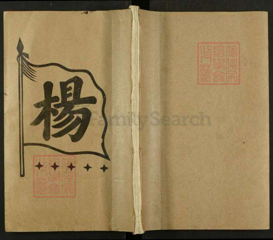 湖南省娄底市新化县槎溪镇杨氏族谱-杨氏八修族史.pdf电子版缩略图