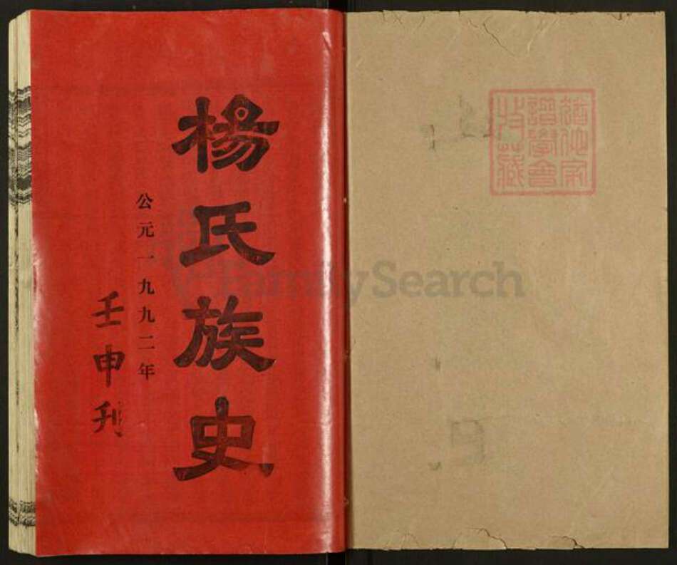 湖南省娄底市新化县槎溪镇杨氏族谱-杨氏八修族史.pdf电子版预览图1