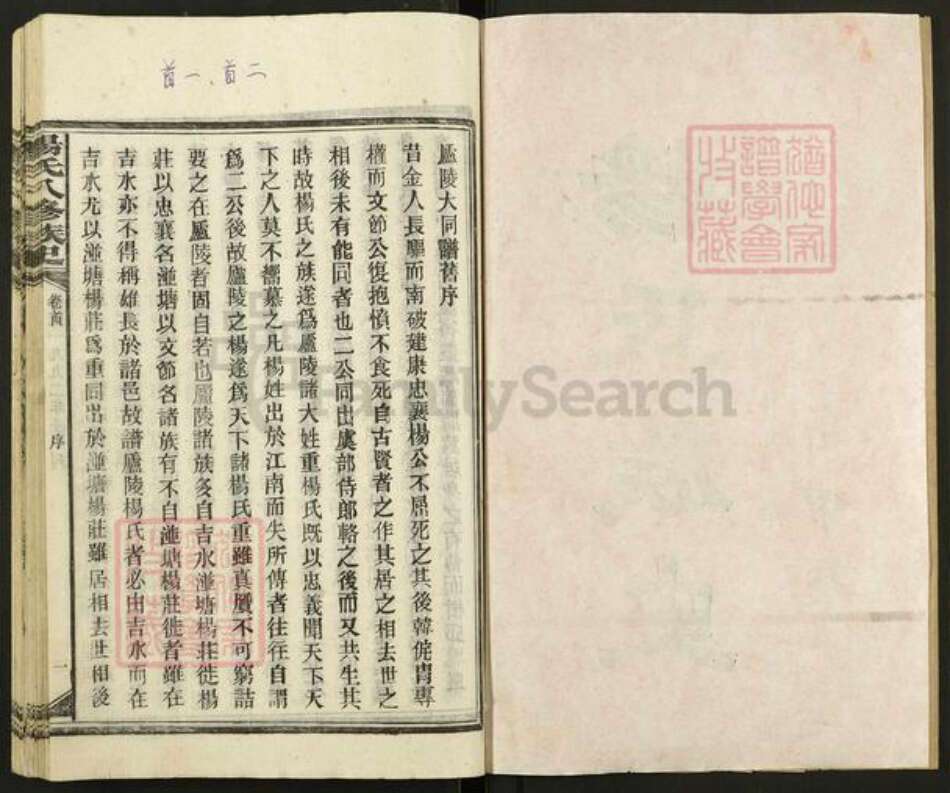 湖南省娄底市新化县槎溪镇杨氏族谱-杨氏八修族史.pdf电子版预览图2