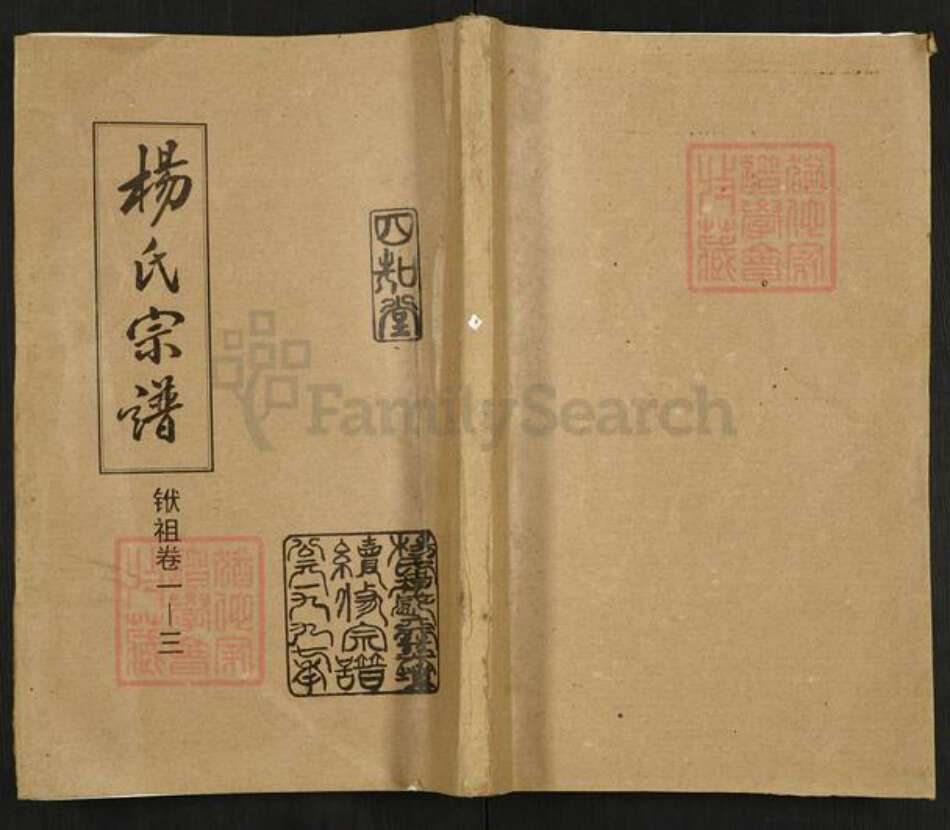 湖北省孝感市孝昌县陡山乡杨氏四知堂族谱-杨氏宗谱.pdf电子版缩略图