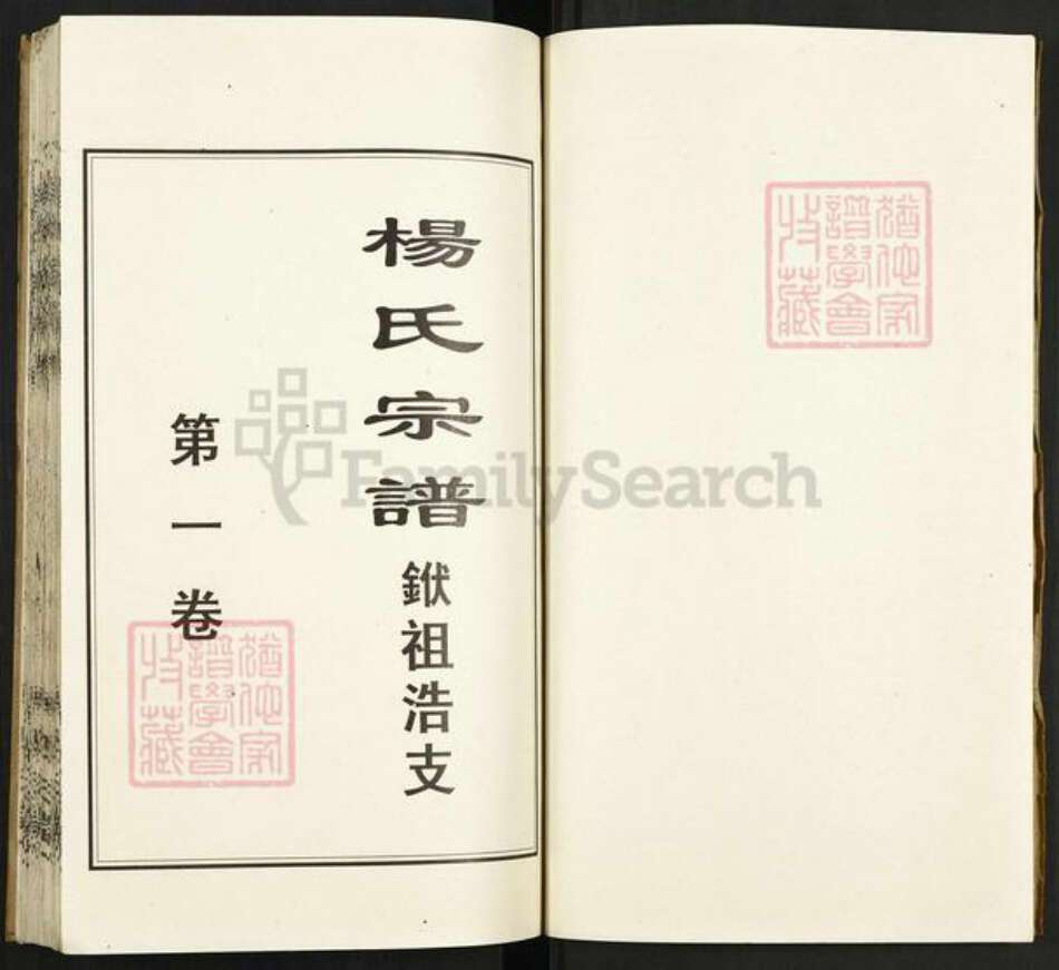 湖北省孝感市孝昌县陡山乡杨氏四知堂族谱-杨氏宗谱.pdf电子版预览图2