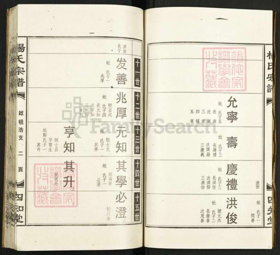 湖北省孝感市孝昌县陡山乡杨氏四知堂族谱-杨氏宗谱.pdf电子版预览图4