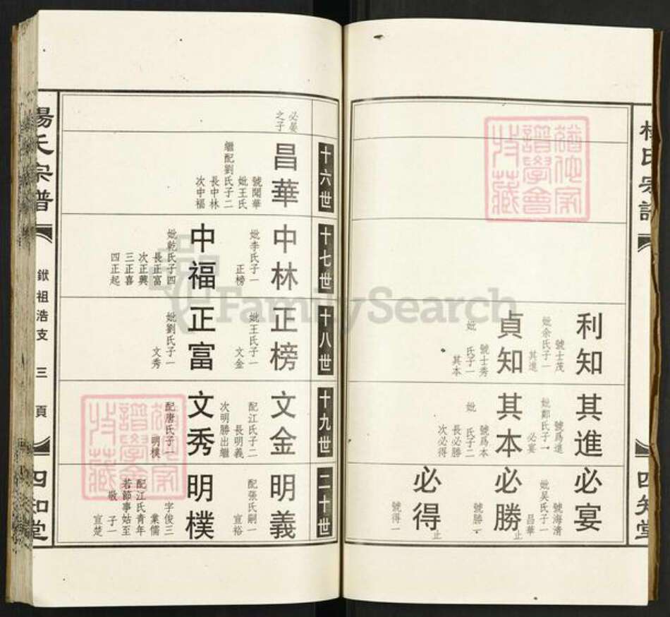 湖北省孝感市孝昌县陡山乡杨氏四知堂族谱-杨氏宗谱.pdf电子版预览图5