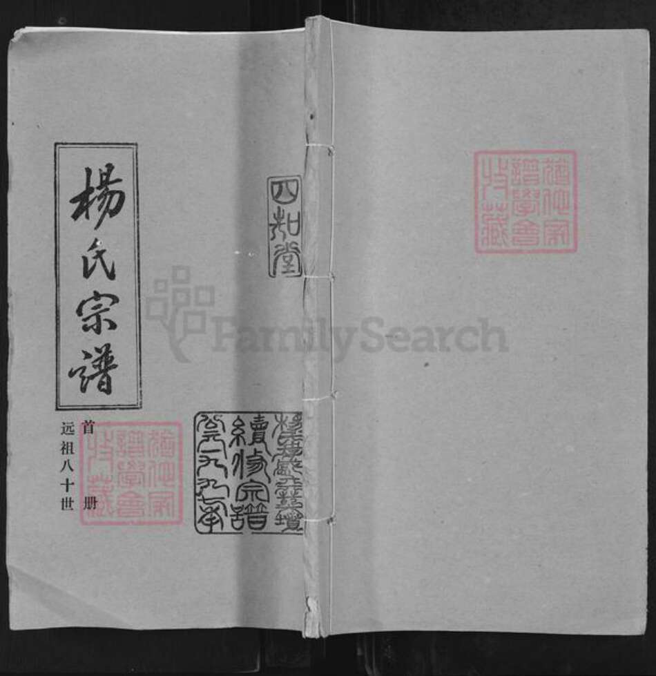 湖北省孝感市孝昌县陡山乡杨氏四知堂族谱-杨氏宗谱.pdf电子版缩略图