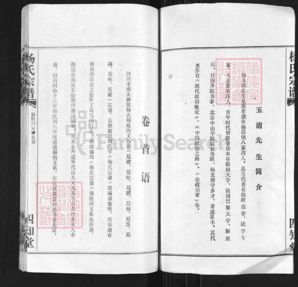 湖北省孝感市孝昌县陡山乡杨氏四知堂族谱-杨氏宗谱.pdf电子版预览图2