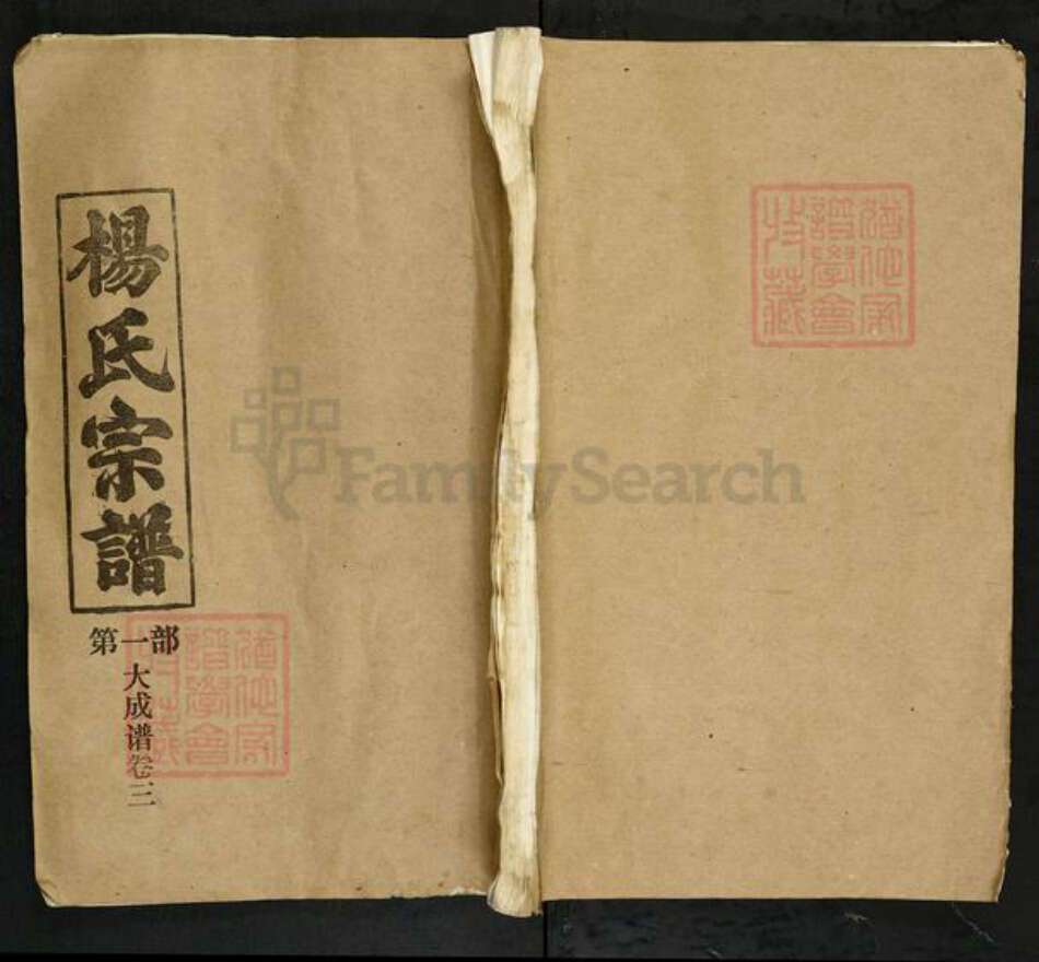 湖北省杨氏四知堂族谱-杨氏宗谱.pdf电子版缩略图