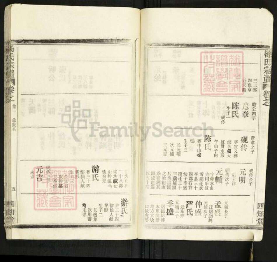 湖北省杨氏四知堂族谱-杨氏宗谱.pdf电子版预览图5