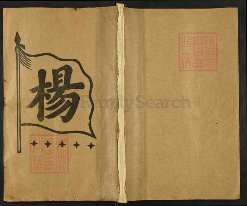 湖南省邵阳市邵阳县杨氏族谱-杨氏八修族史.pdf电子版缩略图