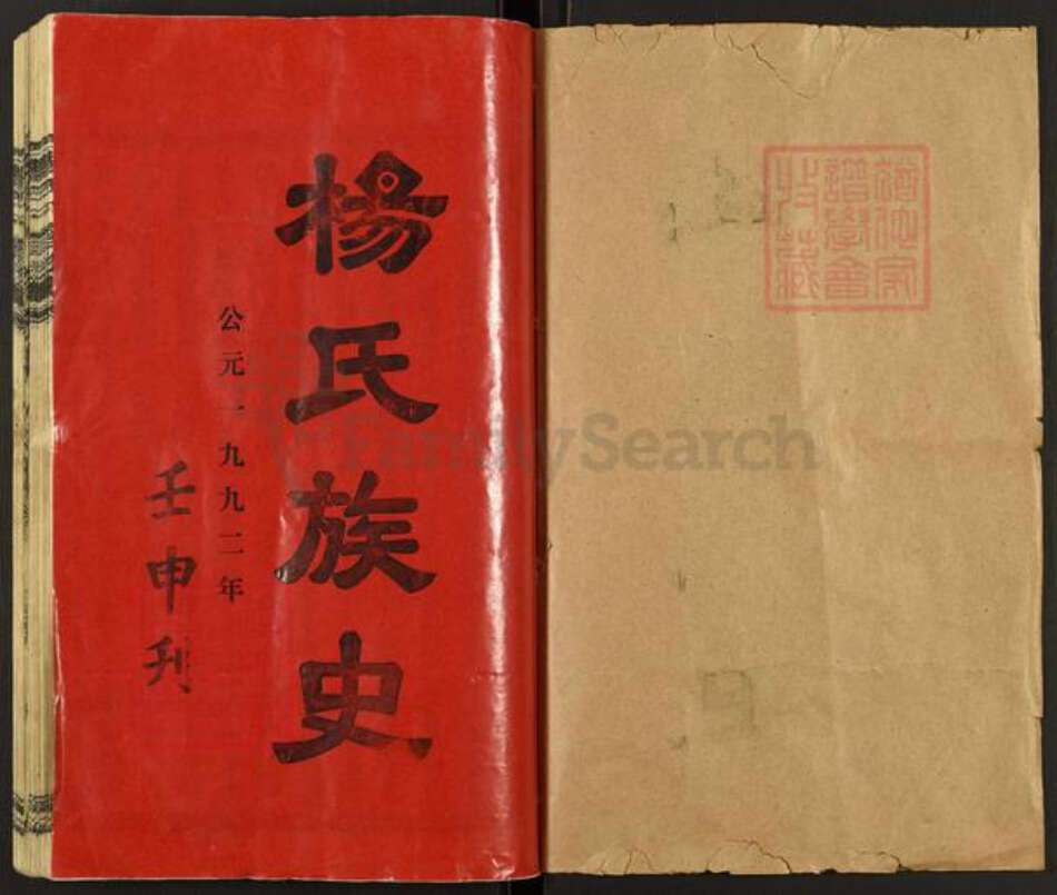 湖南省邵阳市邵阳县杨氏族谱-杨氏八修族史.pdf电子版预览图1