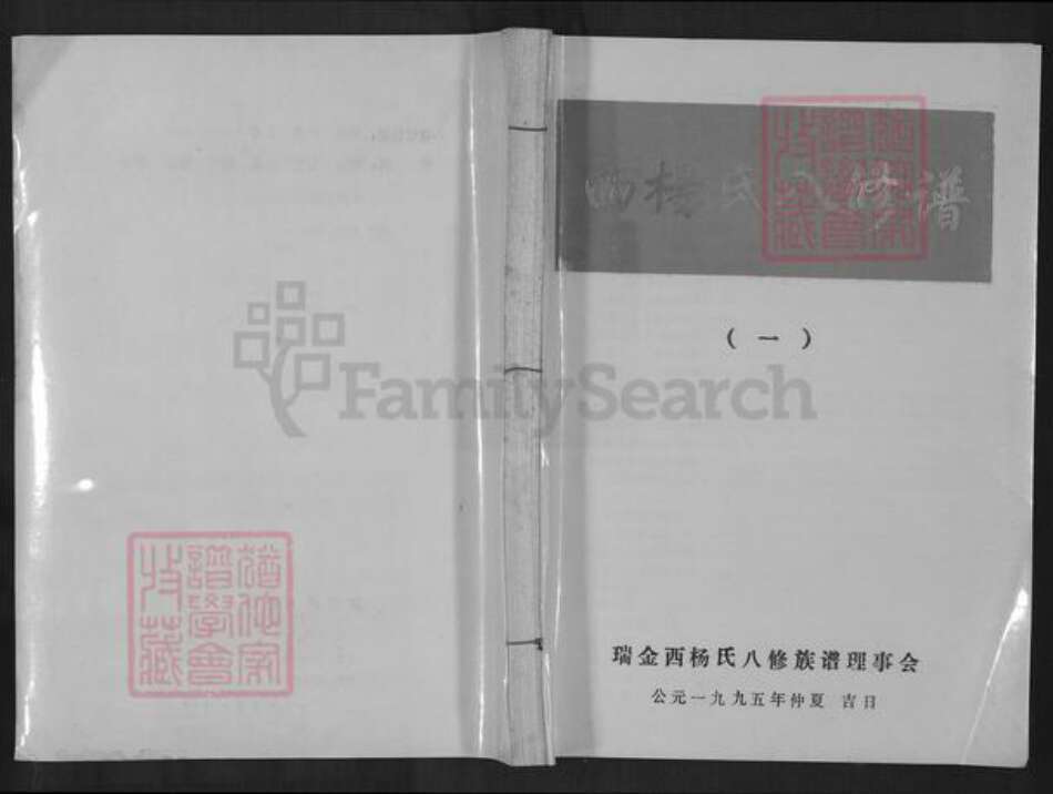 江西省赣州市瑞金市杨氏族谱-西杨氏八修谱.pdf电子版缩略图