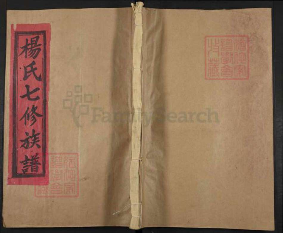 江西省抚州市南丰县杨氏族谱-公元一九九三年杨氏族谱.pdf电子版缩略图