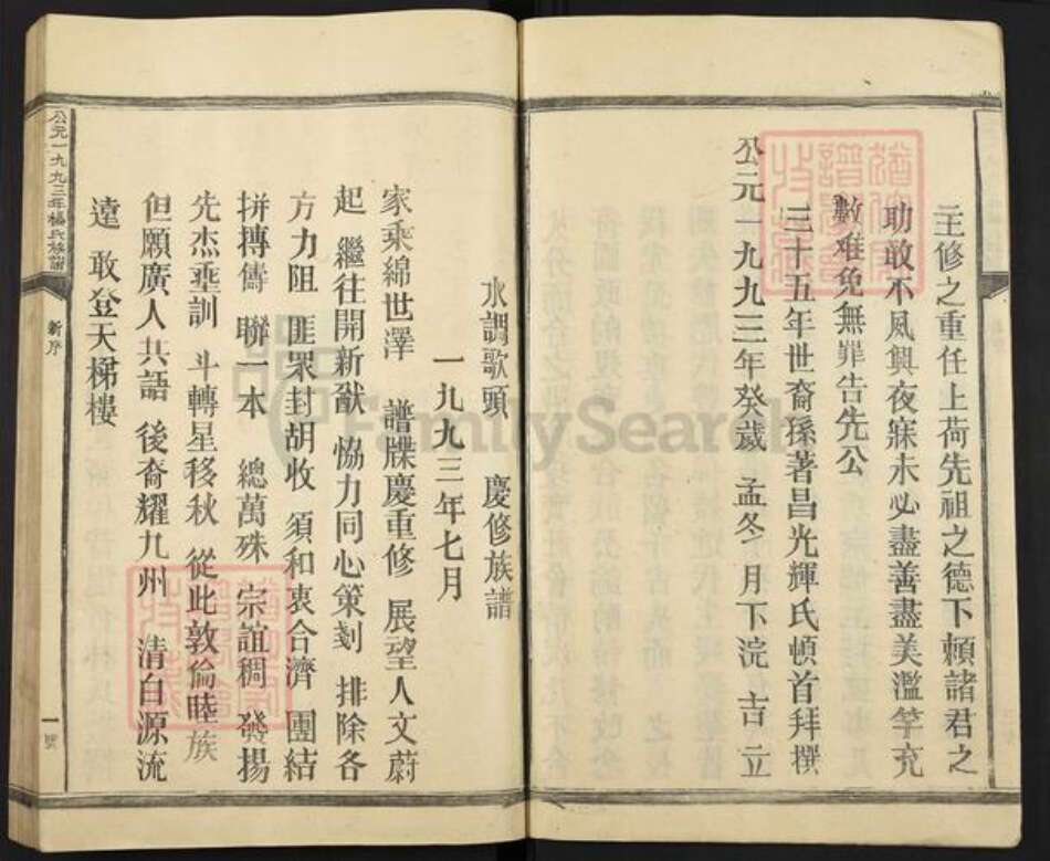 江西省抚州市南丰县杨氏族谱-公元一九九三年杨氏族谱.pdf电子版预览图4