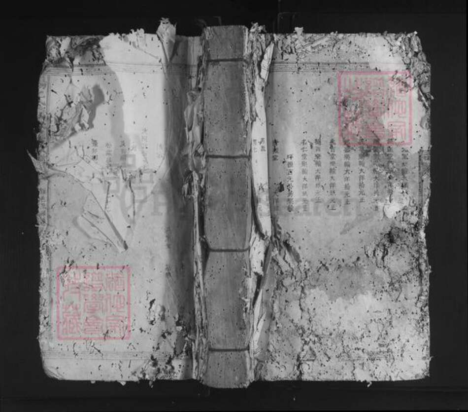 江西省吉安市万安县杨氏族谱-杨氏续修族谱.pdf电子版缩略图