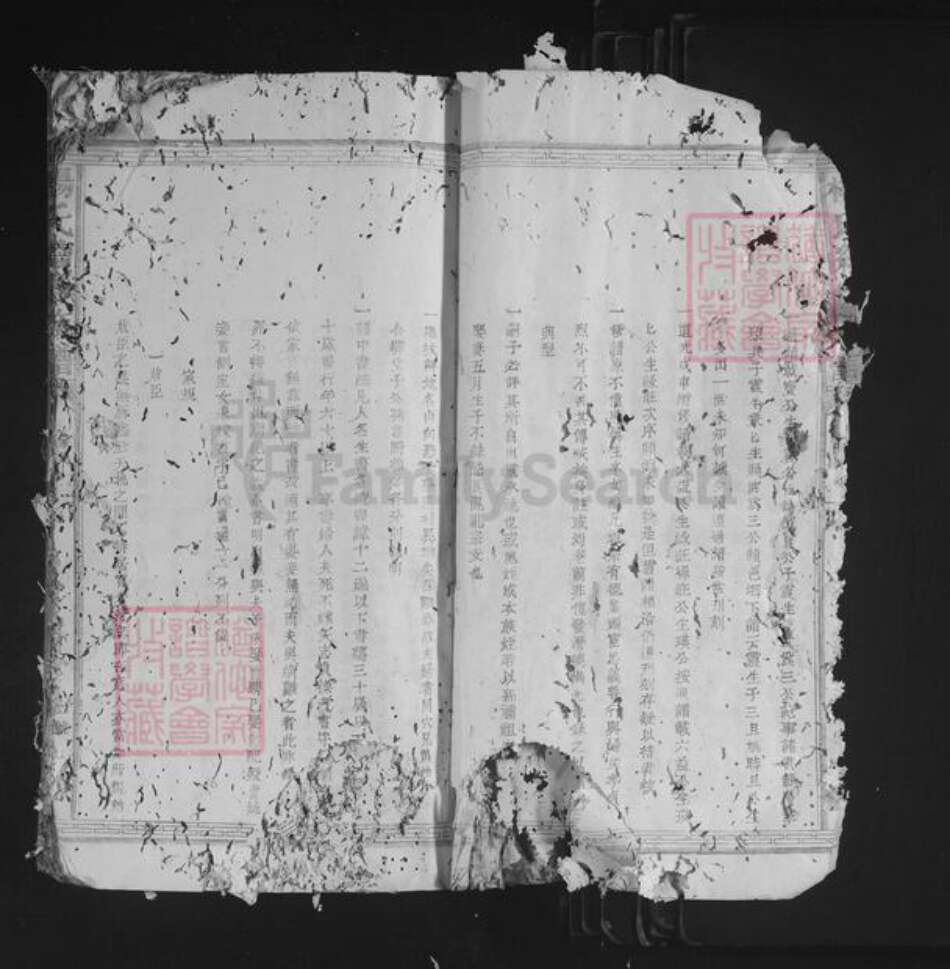 江西省吉安市万安县杨氏族谱-杨氏续修族谱.pdf电子版预览图5