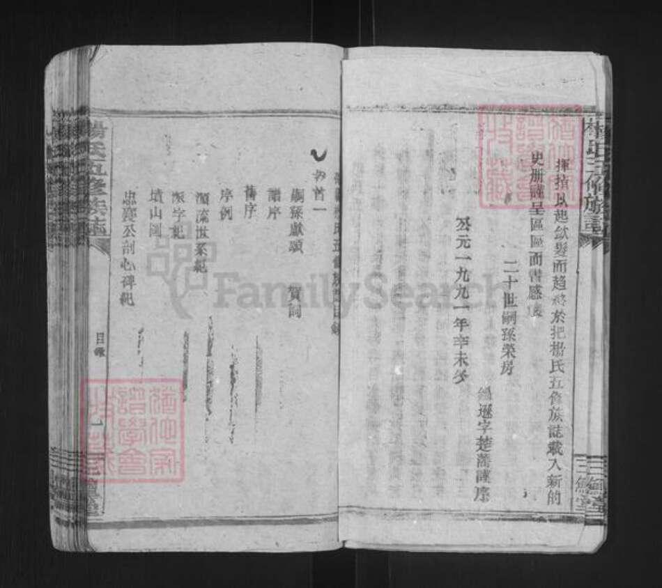 湖南省邵阳市邵东杨氏三鳣堂族谱-杨氏五修族志.pdf电子版预览图4