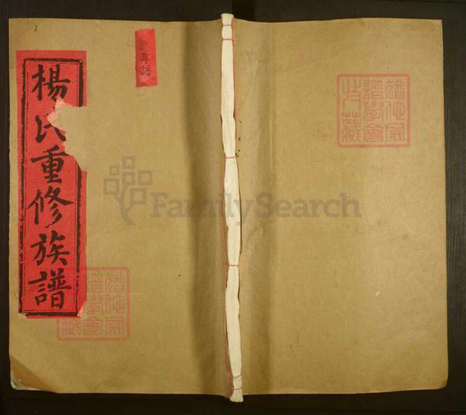 江西省宜春市丰城市梅林镇杨氏敦睦堂族谱-杨氏重修族谱.pdf电子版缩略图