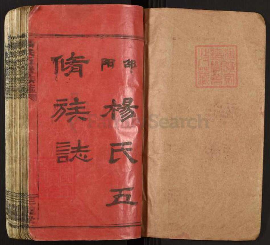 湖南省邵阳市新邵县雀塘镇杨氏三鳣堂族谱-杨氏五修族志.pdf电子版预览图1