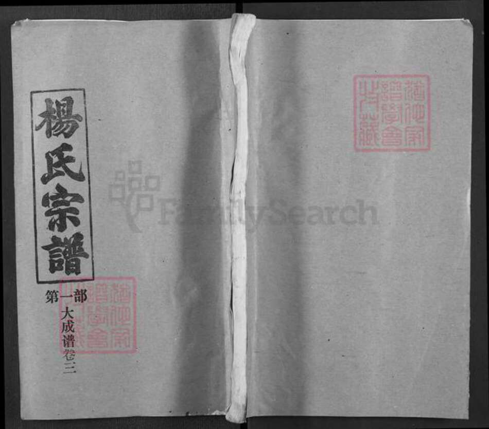 湖北省武汉市新洲区杨氏四知堂族谱-杨氏宗谱.pdf电子版缩略图