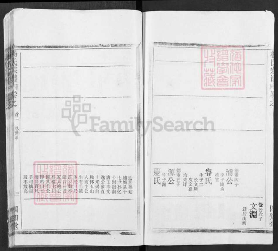 湖北省武汉市新洲区杨氏四知堂族谱-杨氏宗谱.pdf电子版预览图3