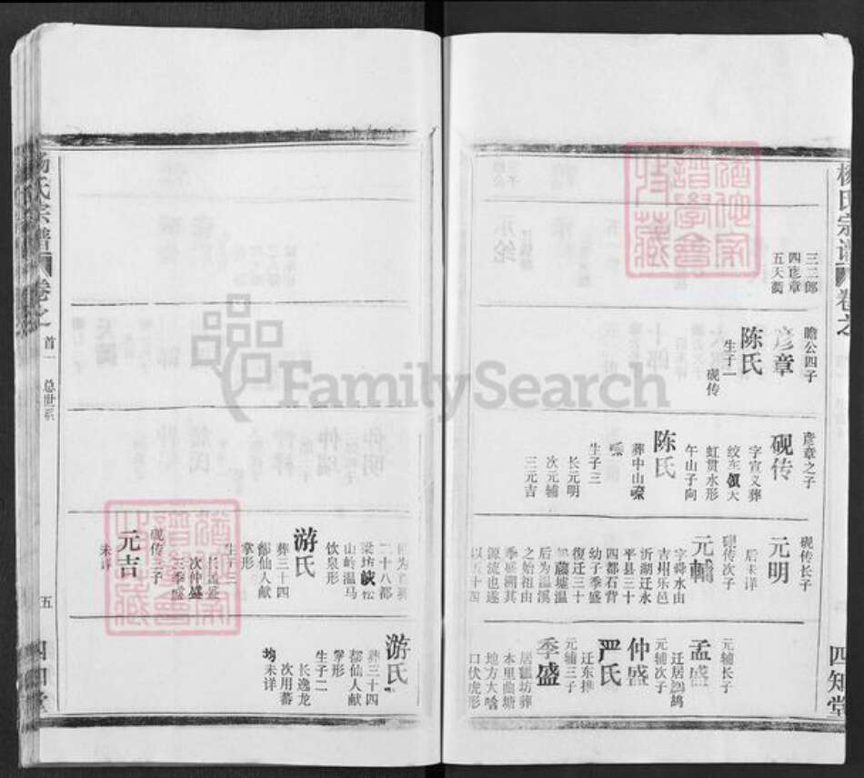 湖北省武汉市新洲区杨氏四知堂族谱-杨氏宗谱.pdf电子版预览图5