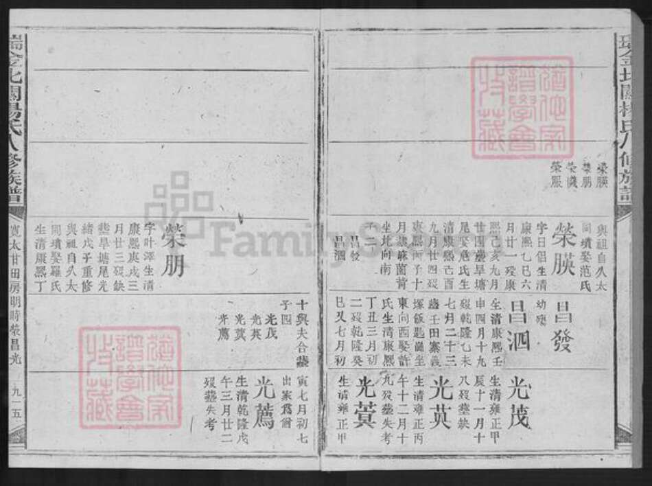 江西省赣州市瑞金市杨氏族谱-瑞金北闗杨氏八修族谱.pdf电子版预览图2