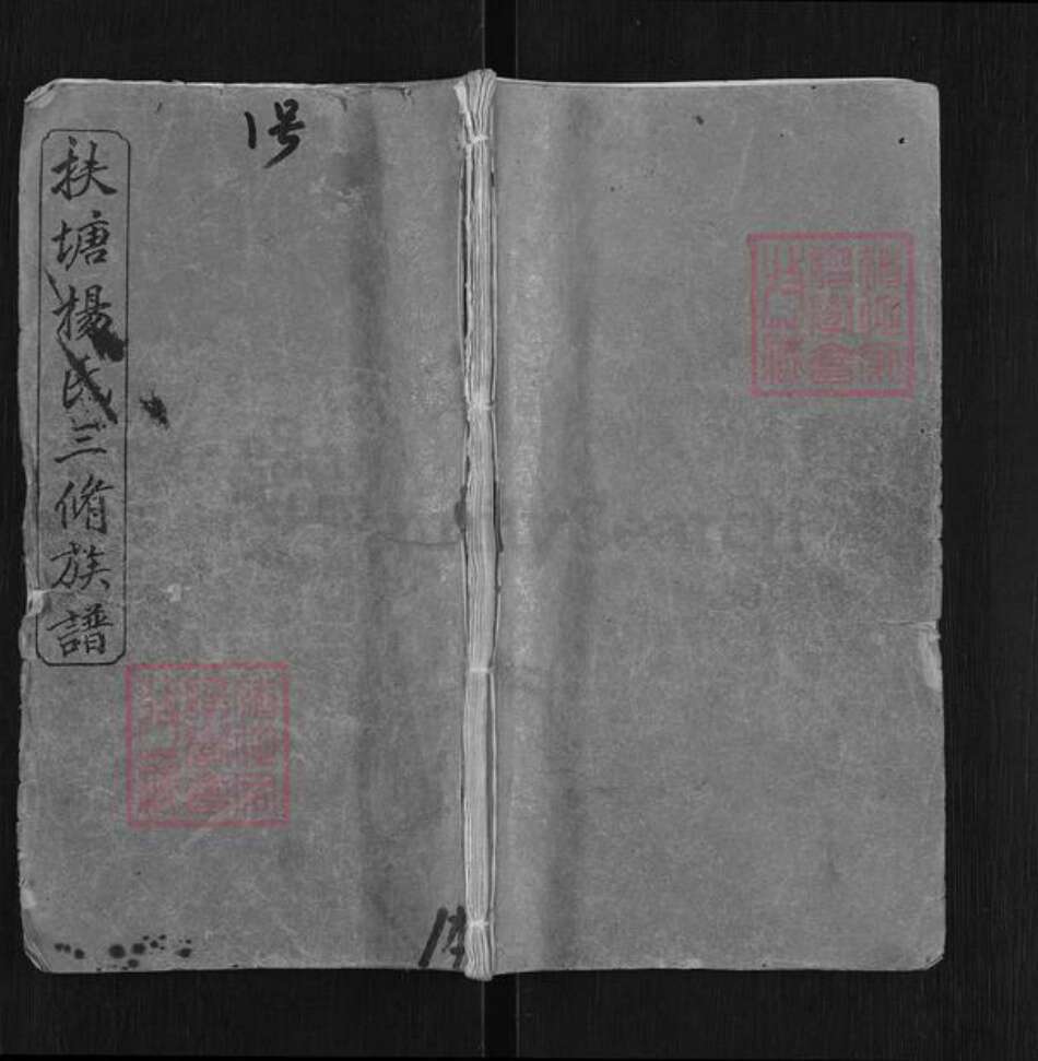 湖南省湘潭市湘乡市中沙镇杨氏宏农堂族谱-扶塘杨氏三修族谱.pdf电子版缩略图