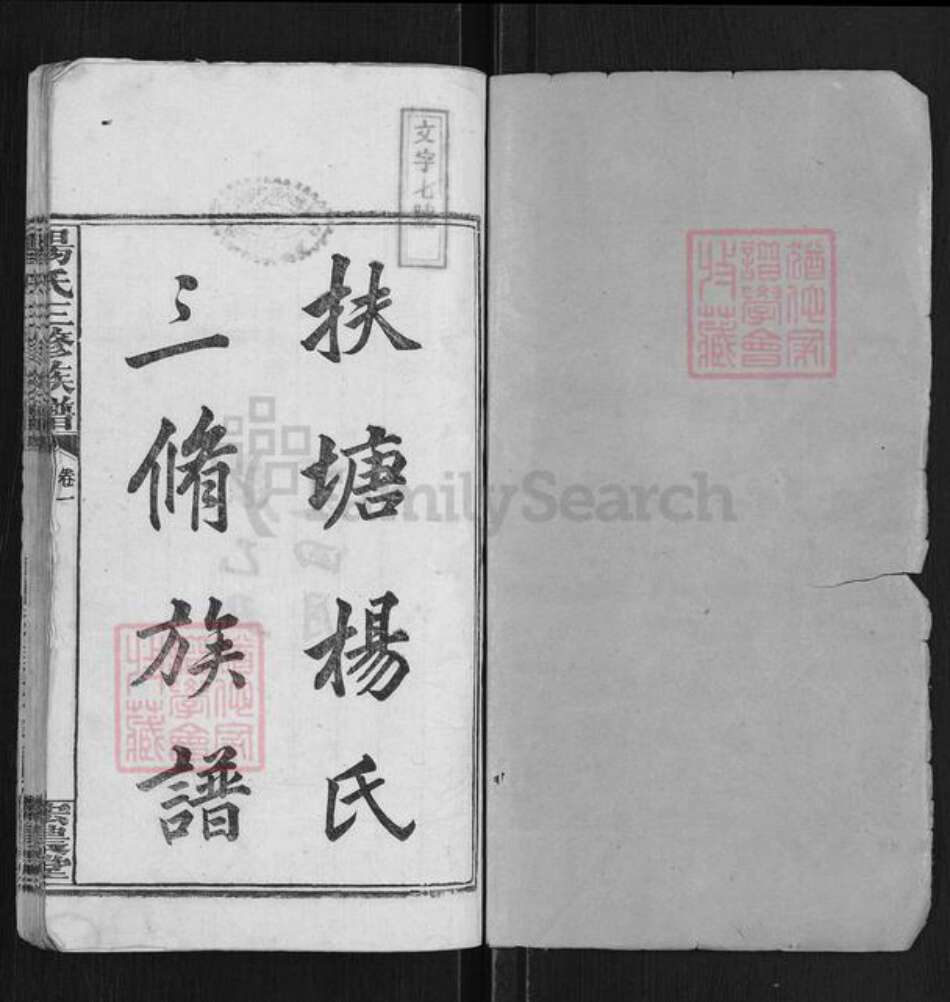 湖南省湘潭市湘乡市中沙镇杨氏宏农堂族谱-扶塘杨氏三修族谱.pdf电子版预览图1