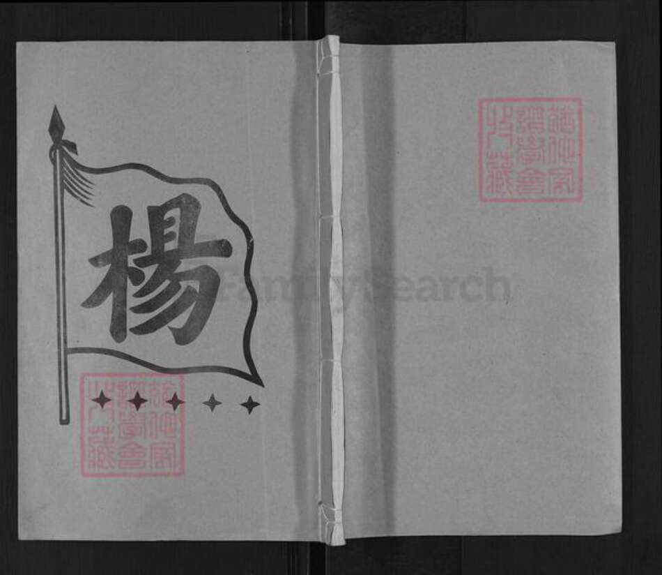 湖南省娄底市新化县槎溪镇杨氏族谱-杨氏八修族谱.pdf电子版缩略图