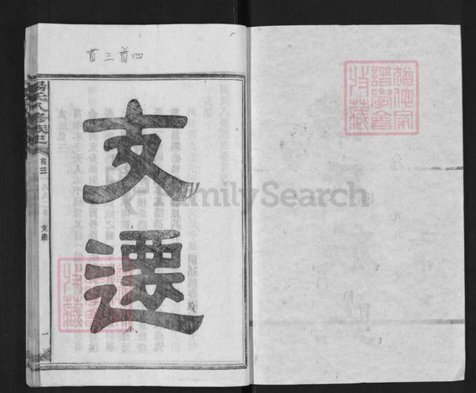 湖南省娄底市新化县槎溪镇杨氏族谱-杨氏八修族谱.pdf电子版预览图1