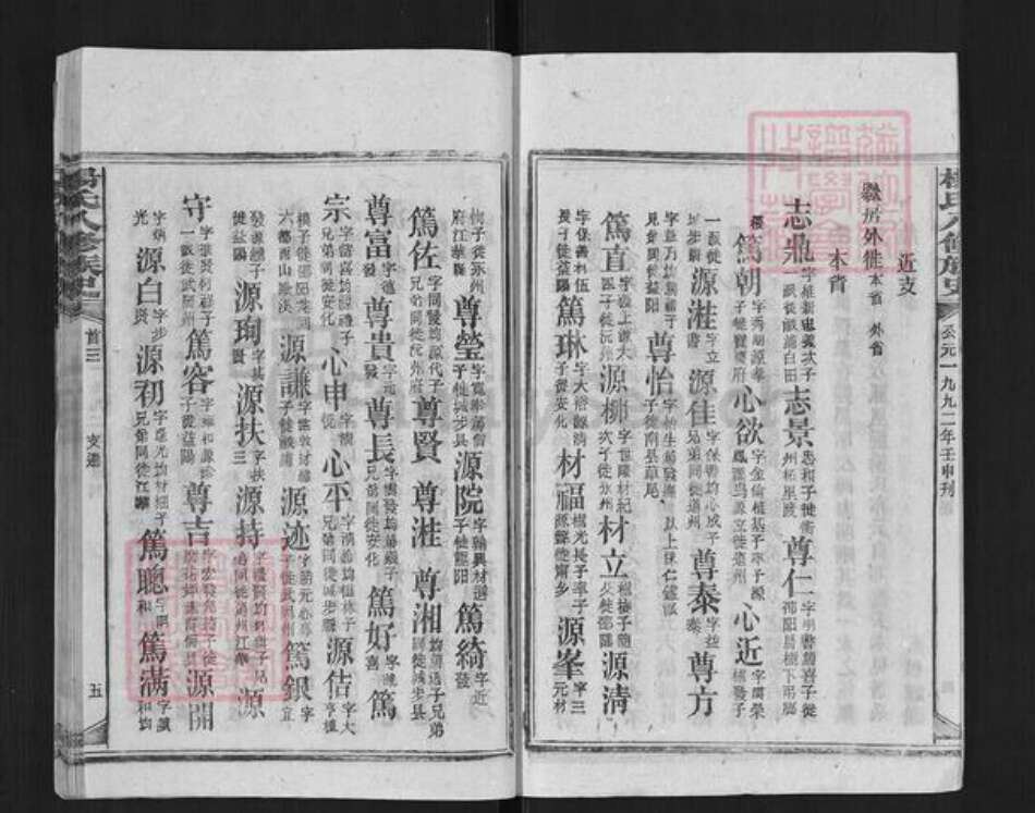 湖南省娄底市新化县槎溪镇杨氏族谱-杨氏八修族谱.pdf电子版预览图5