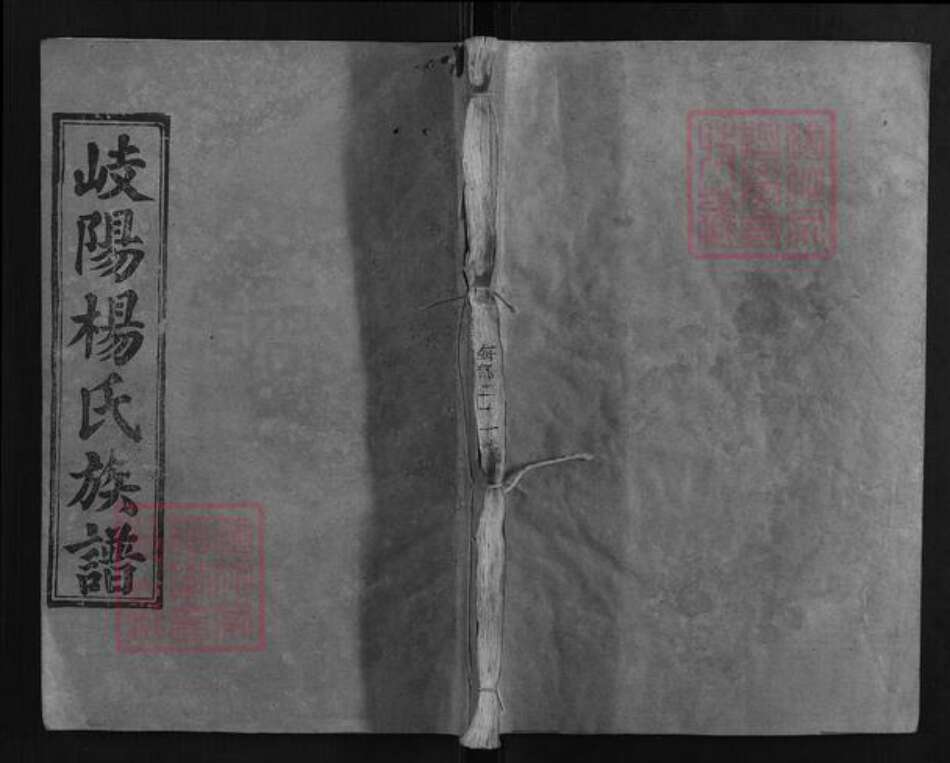 江西省宜春市万载县江西省宜春市万载县杨氏三囍堂族谱-岐阳杨氏族谱.pdf电子版缩略图