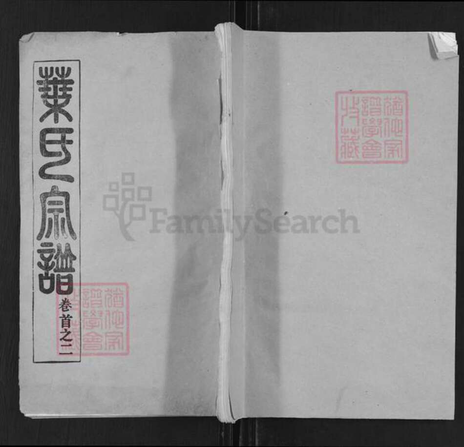 湖北省黄冈市罗田县凤山镇叶氏山斗堂族谱-叶氏宗谱.pdf电子版缩略图