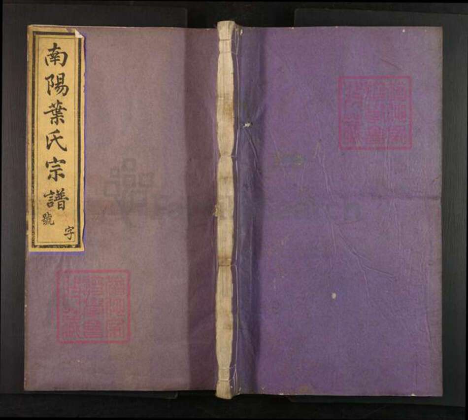 浙江省杭州市淳安县县金峰乡叶氏尚义堂族谱-南阳叶氏宗谱.pdf电子版缩略图