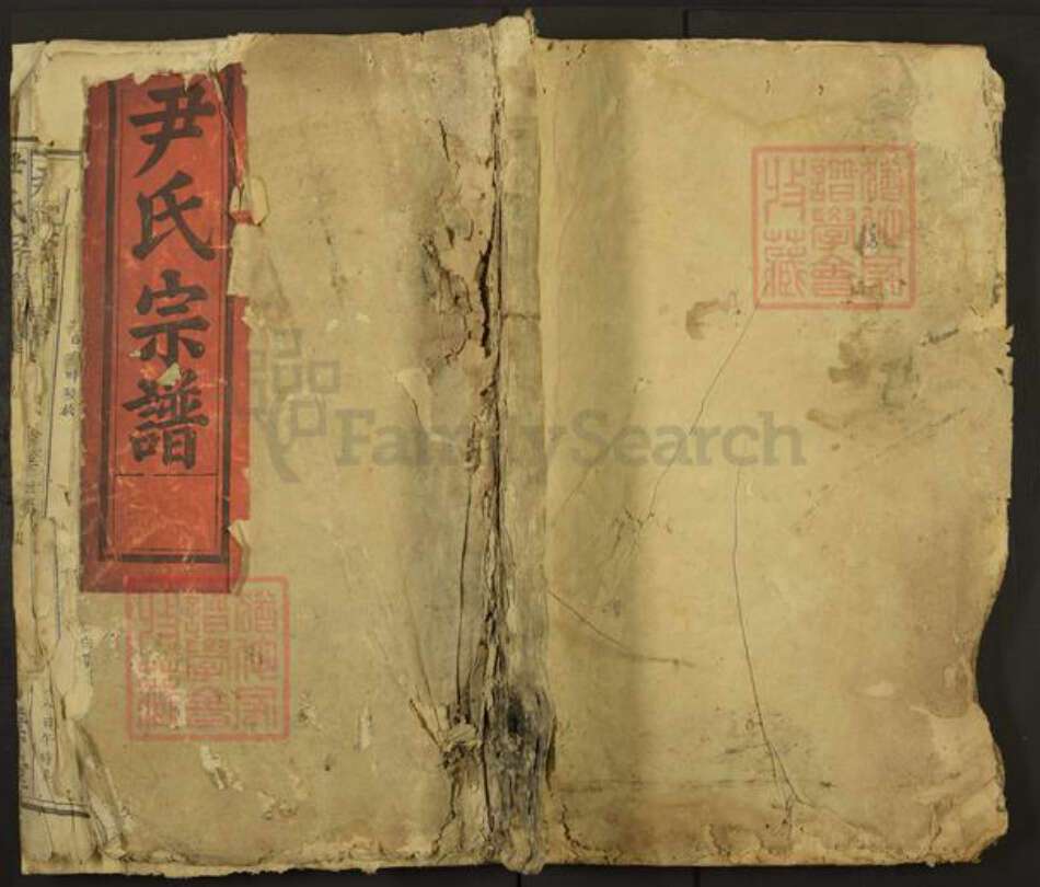 湖北省黄石市大冶市尹氏四叶堂族谱-尹氏宗谱.pdf电子版缩略图