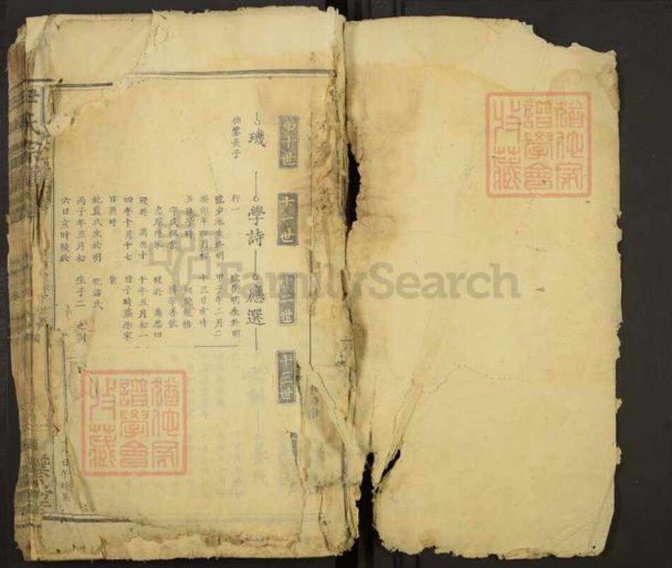 湖北省黄石市大冶市尹氏四叶堂族谱-尹氏宗谱.pdf电子版预览图1