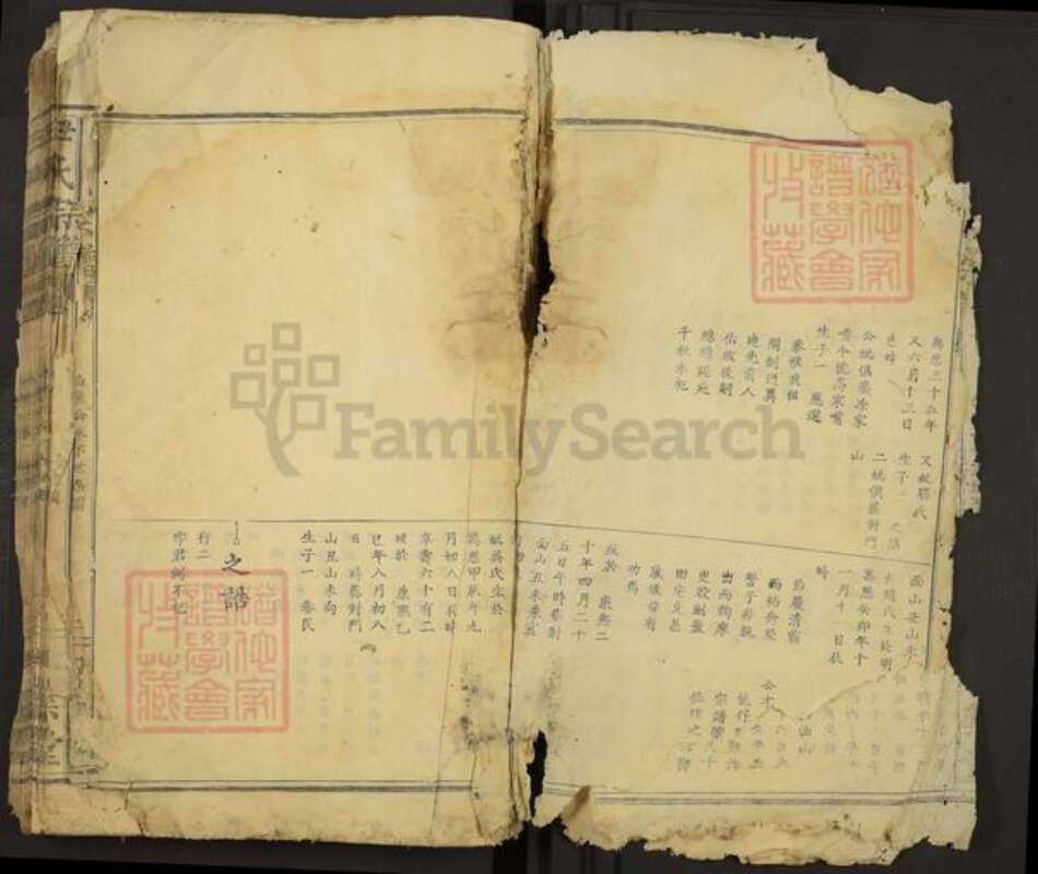 湖北省黄石市大冶市尹氏四叶堂族谱-尹氏宗谱.pdf电子版预览图2