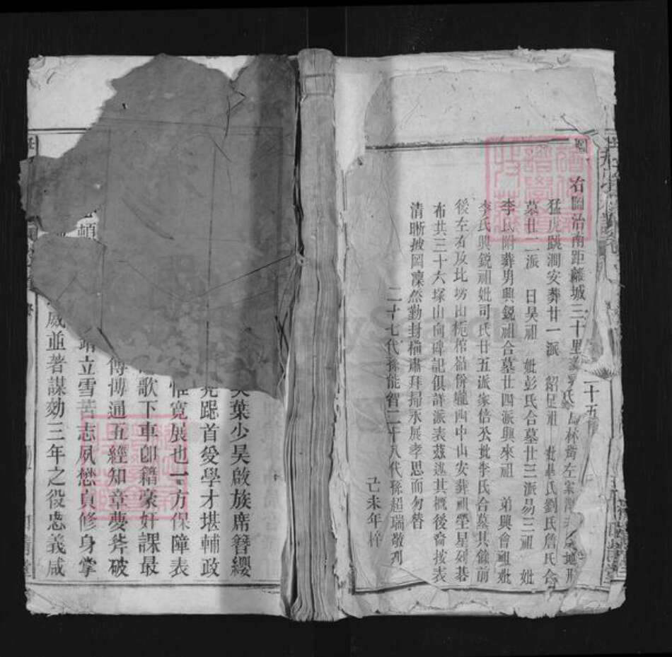 安徽省安庆市宿松县二郎镇尹氏和靖堂族谱-尹氏宗谱.pdf电子版缩略图