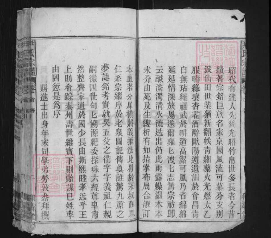 安徽省安庆市宿松县二郎镇尹氏和靖堂族谱-尹氏宗谱.pdf电子版预览图2