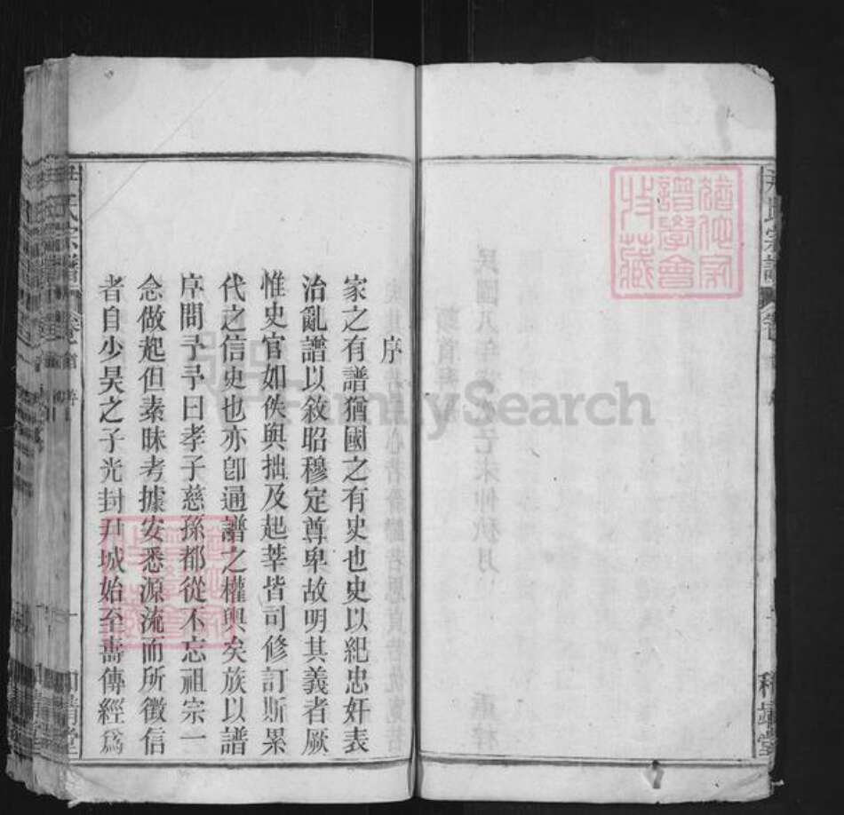 安徽省安庆市宿松县二郎镇尹氏和靖堂族谱-尹氏宗谱.pdf电子版预览图5