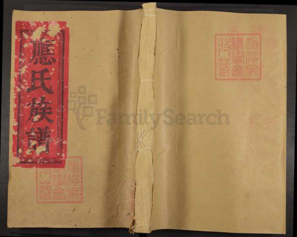 福建省三明市建宁县应氏族谱-应氏族谱.pdf电子版缩略图