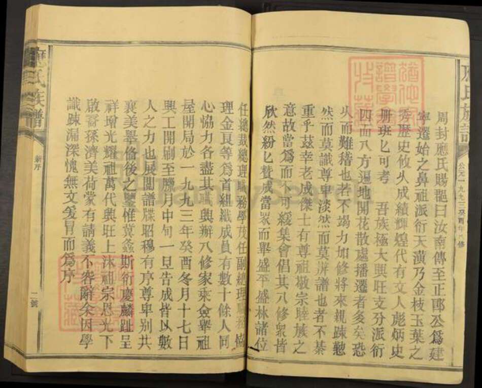 福建省三明市建宁县应氏族谱-应氏族谱.pdf电子版预览图2