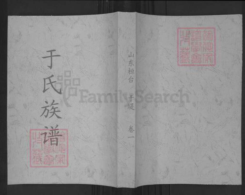 山东省淄博市桓台县唐山镇于氏族谱-于氏族谱.pdf电子版缩略图