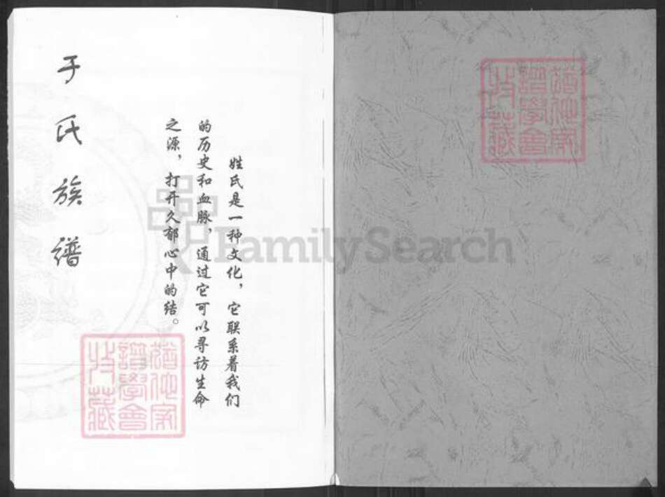 山东省淄博市桓台县唐山镇于氏族谱-于氏族谱.pdf电子版预览图1