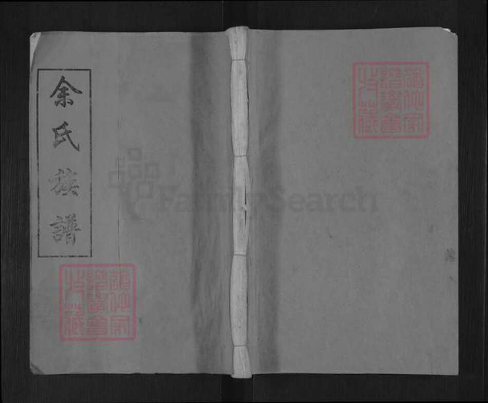 湖南省长沙市浏阳市张坊镇余氏新安堂族谱-浏阳余氏族谱.pdf电子版缩略图