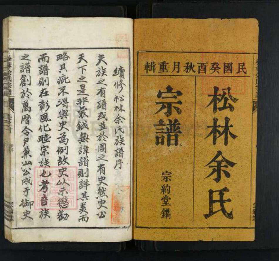 浙江省杭州市淳安县县余氏宗约堂族谱-遂安萝蔓塘松林余氏世家宗谱.pdf电子版预览图1