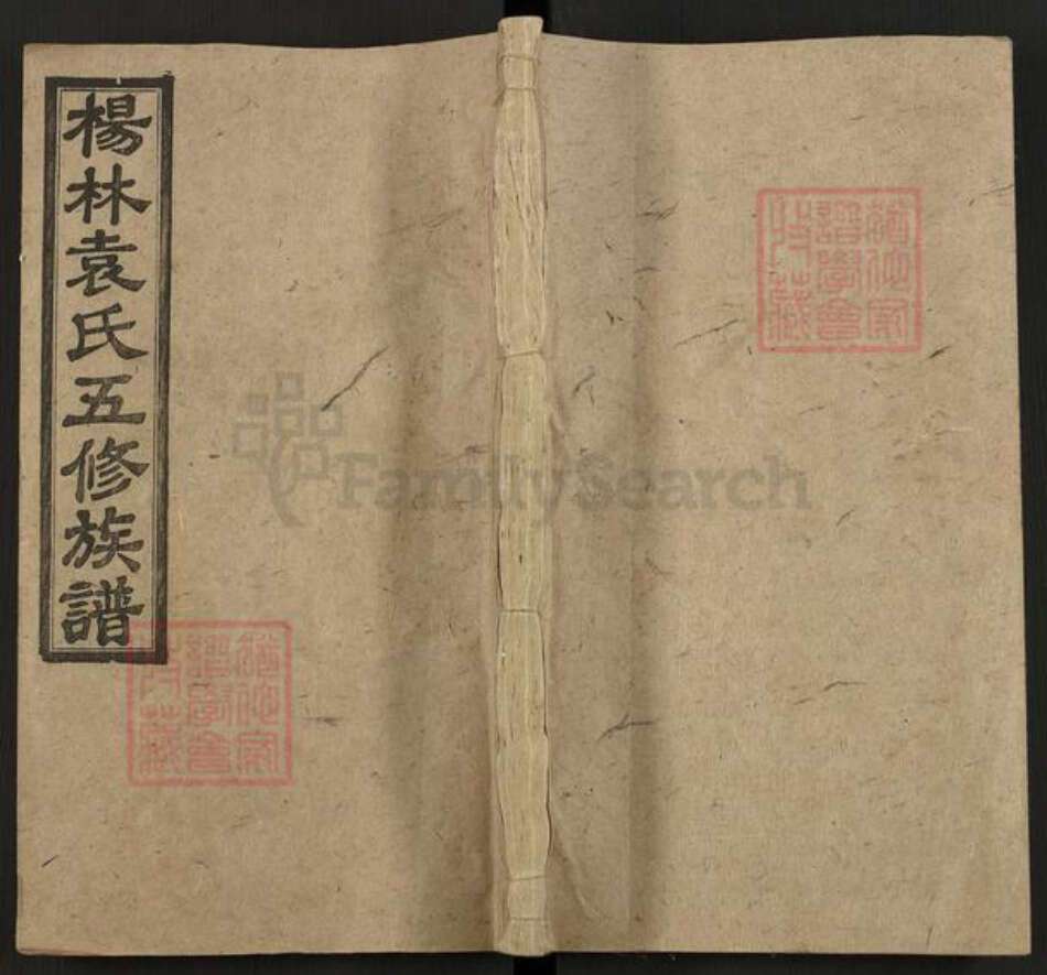 湖南省邵阳市邵阳县袁氏敦睦堂族谱-杨林袁氏五修族谱.pdf电子版缩略图