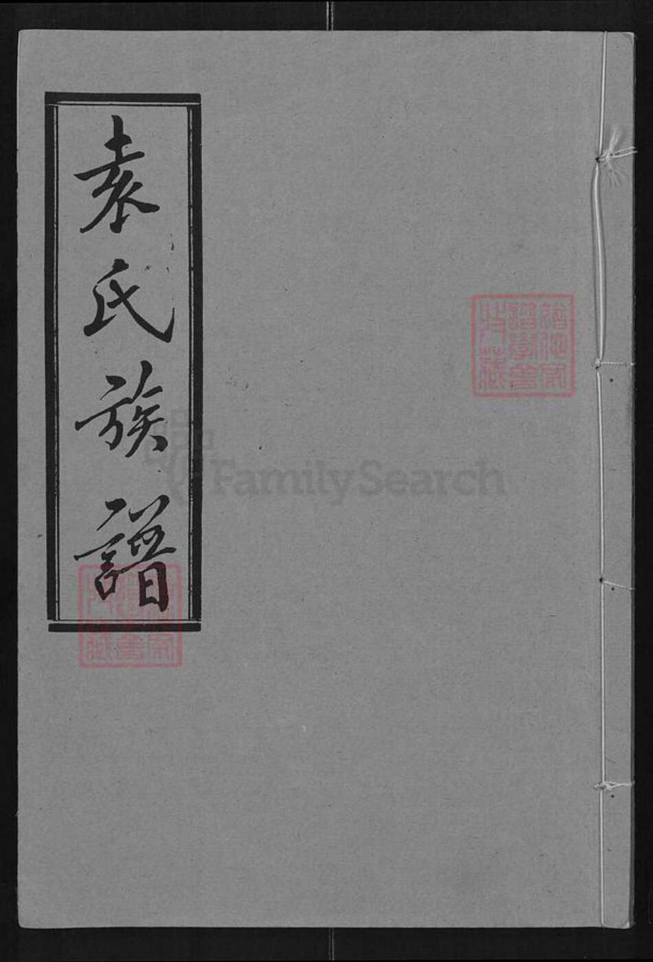 浙江省嘉兴市南湖区南湖街道袁氏汝南堂族谱-袁氏族谱.pdf电子版缩略图