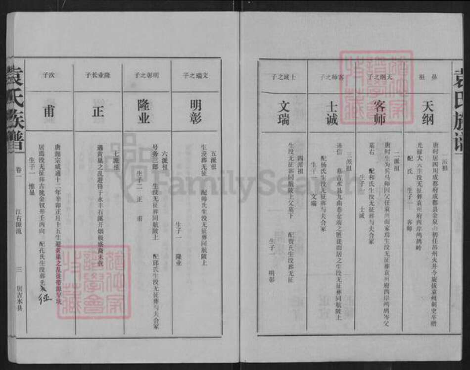 浙江省嘉兴市南湖区南湖街道袁氏汝南堂族谱-袁氏族谱.pdf电子版预览图3